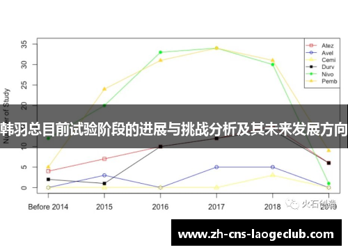韩羽总目前试验阶段的进展与挑战分析及其未来发展方向