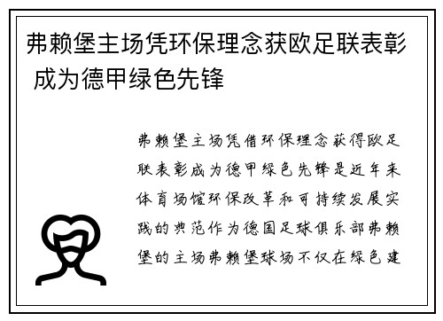 弗赖堡主场凭环保理念获欧足联表彰 成为德甲绿色先锋